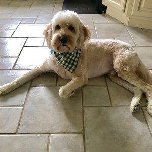 Meet your Posher, Brooke